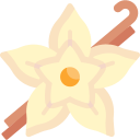 vanilla